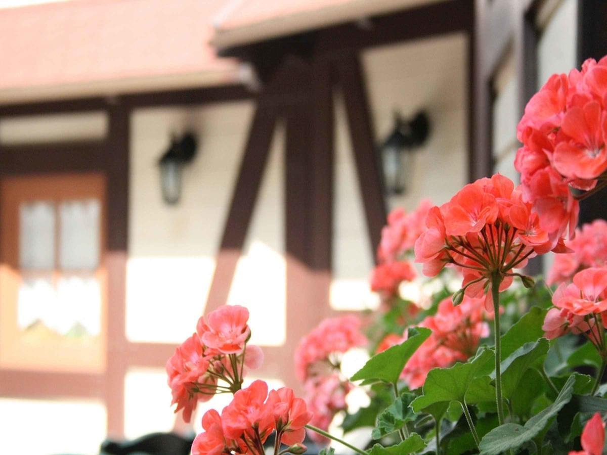Hotel Schuetzen Bad Peterstal-Griesbach Ngoại thất bức ảnh
